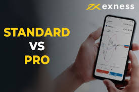 Understanding the Minimum Deposit For Exness Standard Account 5 Understanding the Minimum Deposit For Exness Standard Account 5