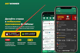 The Ultimate Guide to Sports Betting Strategies, Tips, and Risks