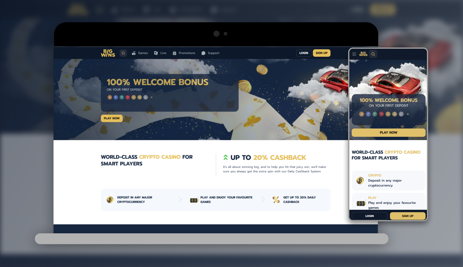 BigWins Promo Codes September 2025 - BigWins Review